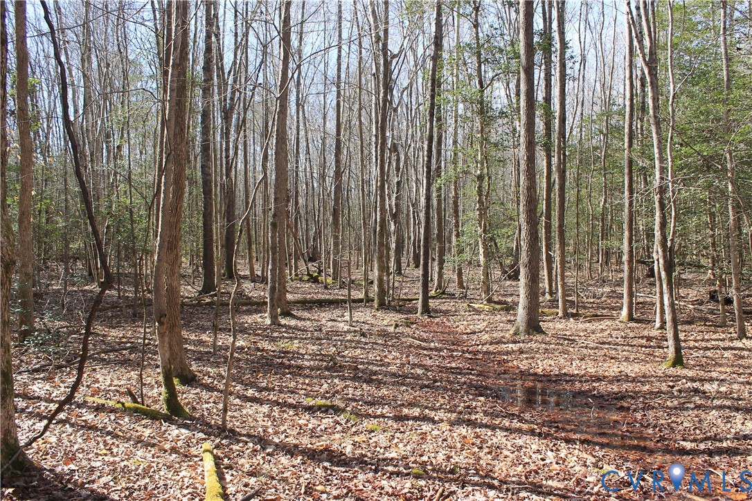 0 Watkins Forest Road Chase City, VA 23924 - Photo 38 of 58