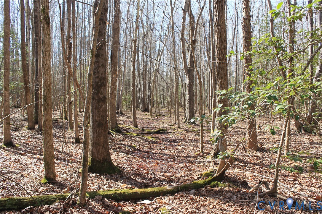 0 Watkins Forest Road Chase City, VA 23924 - Photo 39 of 58