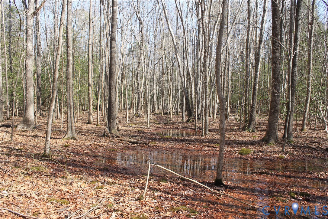 0 Watkins Forest Road Chase City, VA 23924 - Photo 40 of 58