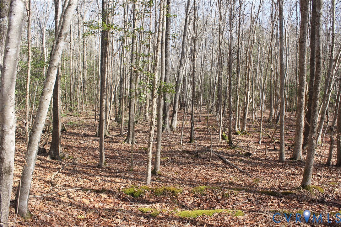 0 Watkins Forest Road Chase City, VA 23924 - Photo 41 of 58