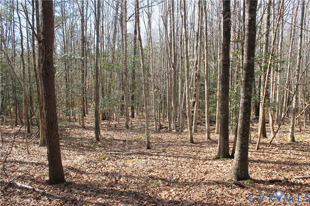 0 Watkins Forest Road Chase City, VA 23924 - Photo 42 of 58 a view of outdoor space with chairs