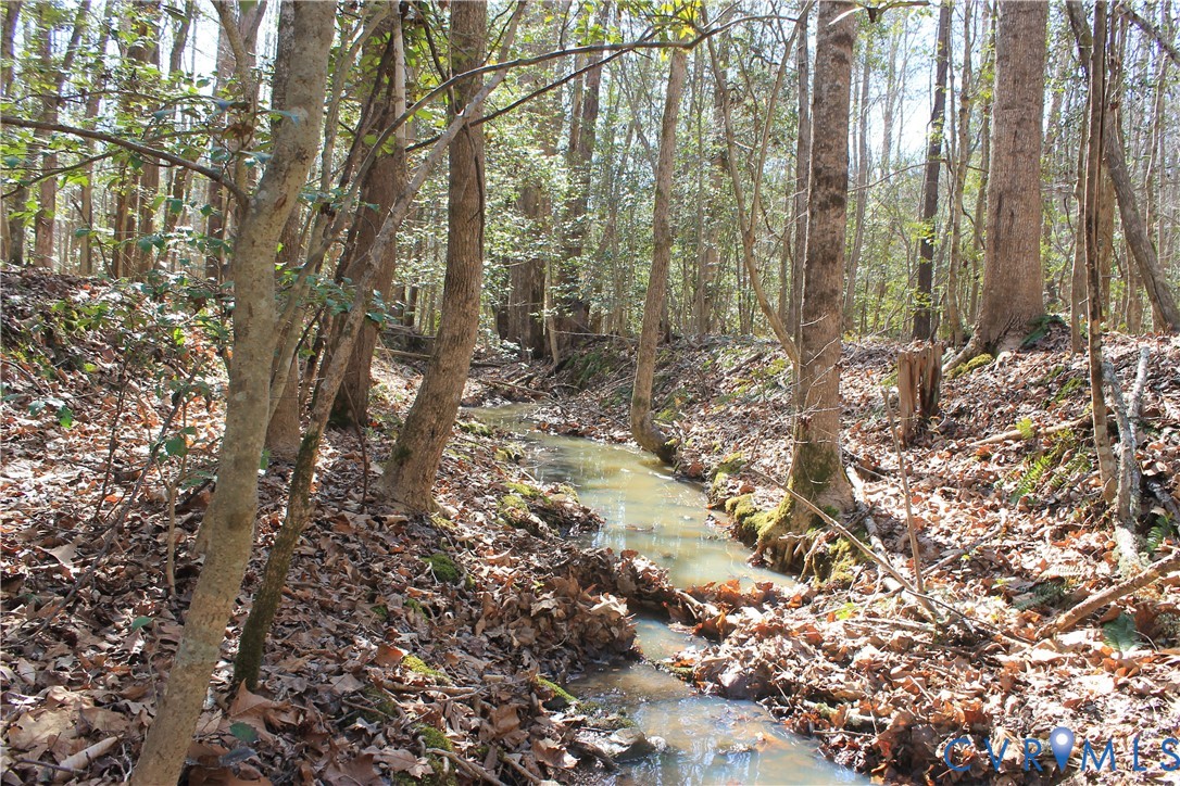 0 Watkins Forest Road Chase City, VA 23924 - Photo 43 of 58 a view of a forest with lots of trees