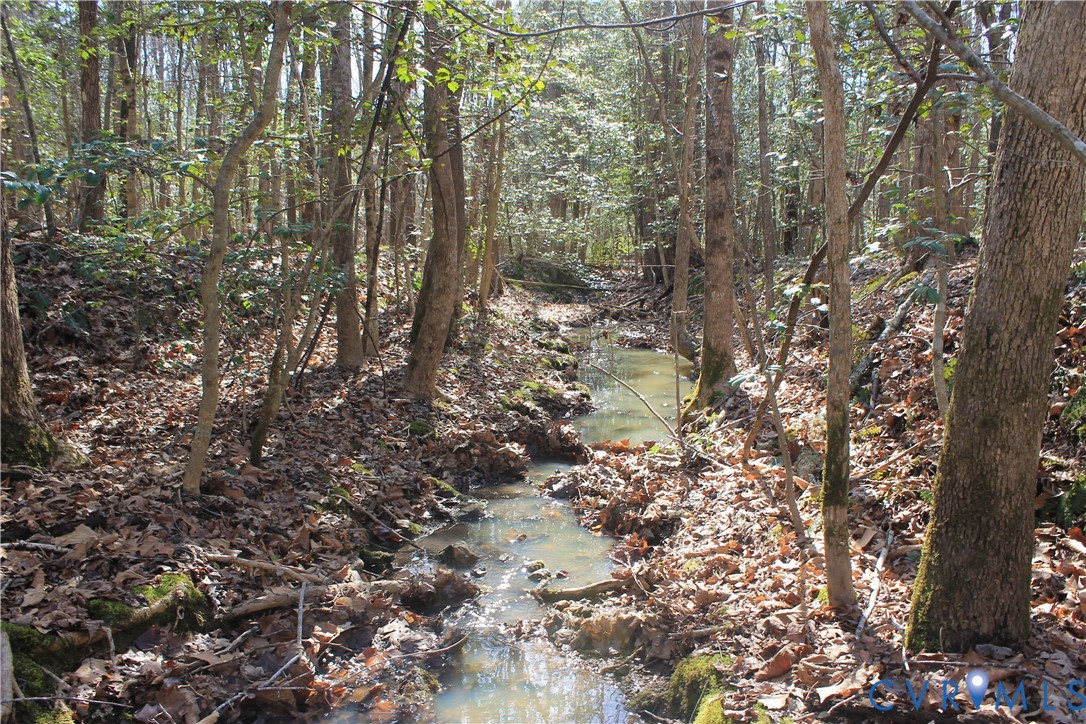 0 Watkins Forest Road Chase City, VA 23924 - Photo 45 of 58 a view of a forest with lots of trees