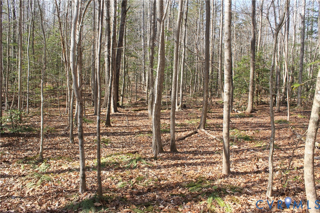 0 Watkins Forest Road Chase City, VA 23924 - Photo 47 of 58