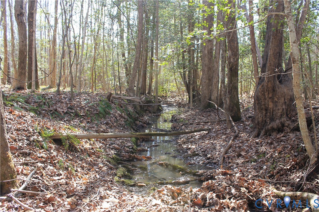 0 Watkins Forest Road Chase City, VA 23924 - Photo 48 of 58