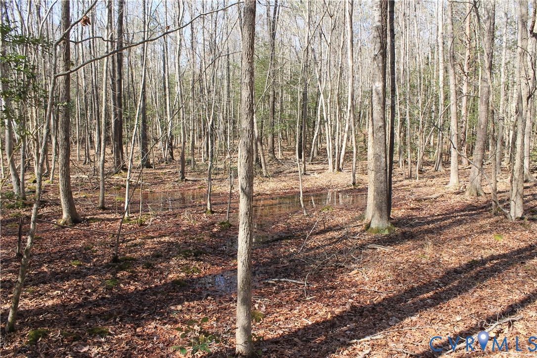 0 Watkins Forest Road Chase City, VA 23924 - Photo 51 of 58 a view of a backyard with pathway