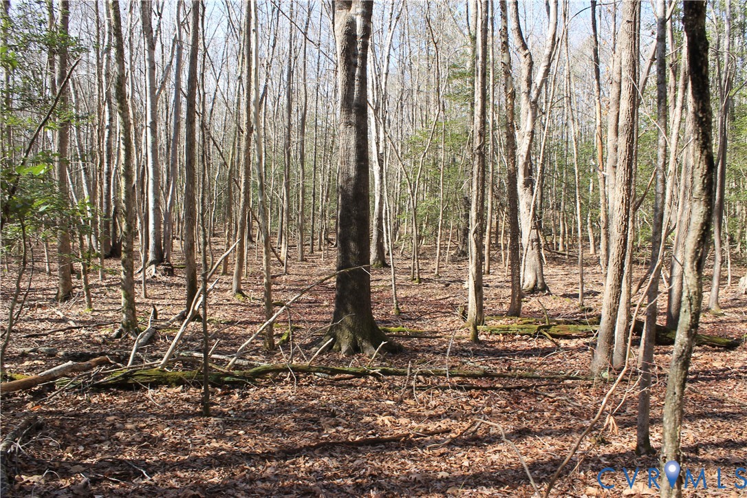 0 Watkins Forest Road Chase City, VA 23924 - Photo 52 of 58