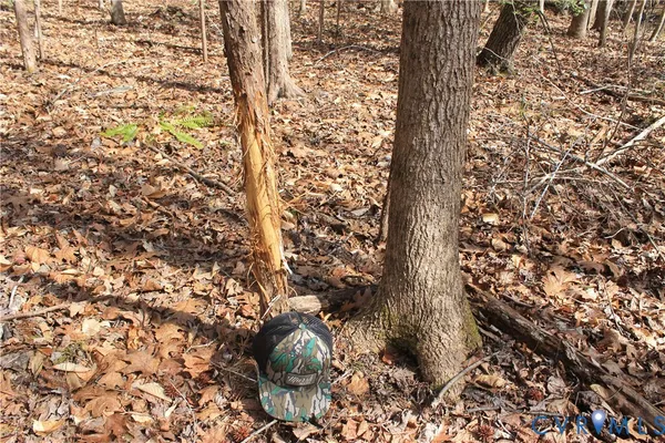 $299,995 | 0 Watkins Forest Road, Chase City, VA 23924