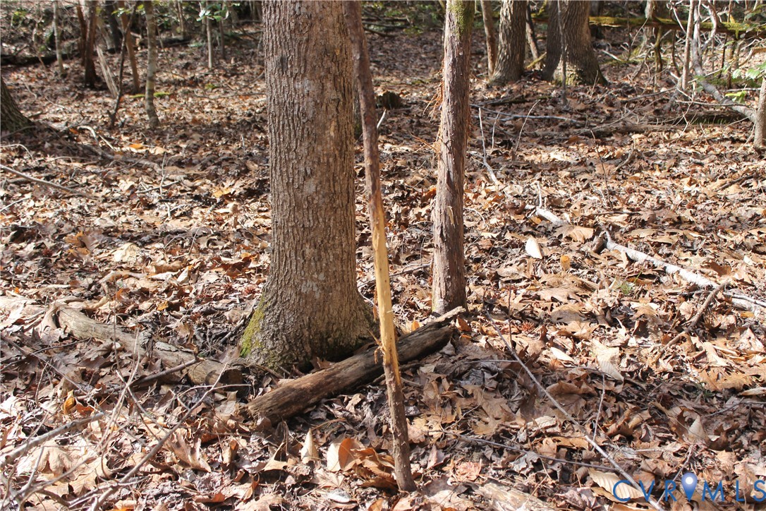 0 Watkins Forest Road Chase City, VA 23924 - Photo 55 of 58