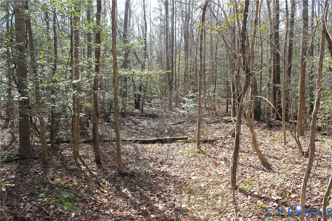 0 Watkins Forest Road Chase City, VA 23924 - Photo 56 of 58 a view of a pathway with a yard