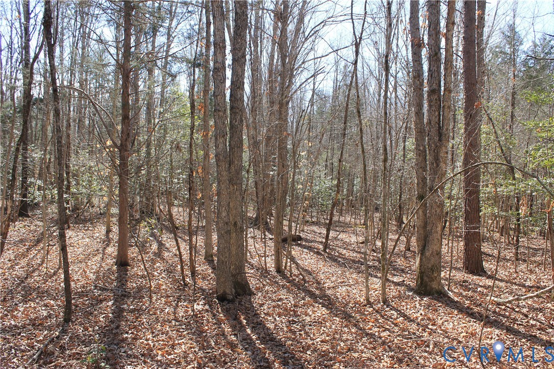 0 Watkins Forest Road Chase City, VA 23924 - Photo 7 of 58 a view of forest