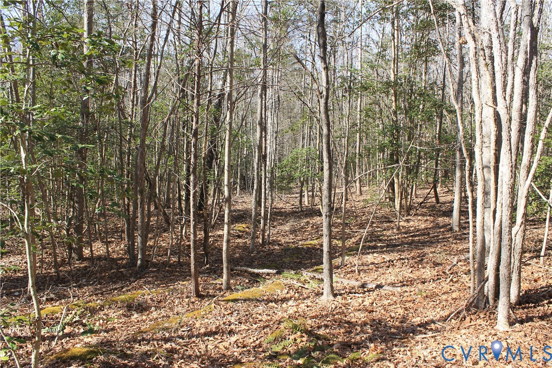0 Watkins Forest Road Chase City, VA 23924 - Photo 10 of 58 a view of outdoor space and yard