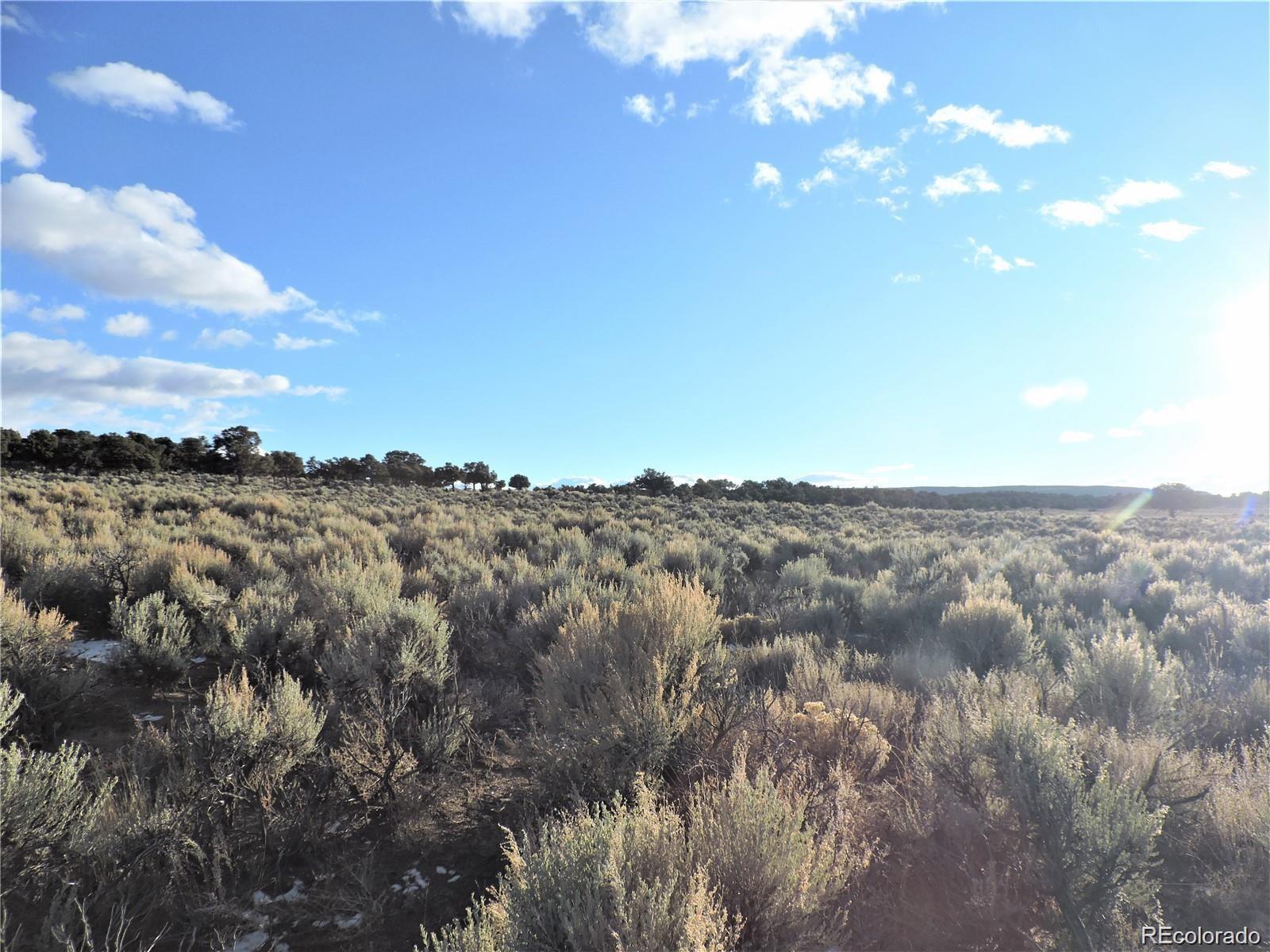 3581 Wearly Road Fort Garland, CO 81133 - Photo 14 of 17 Gallery Image 14