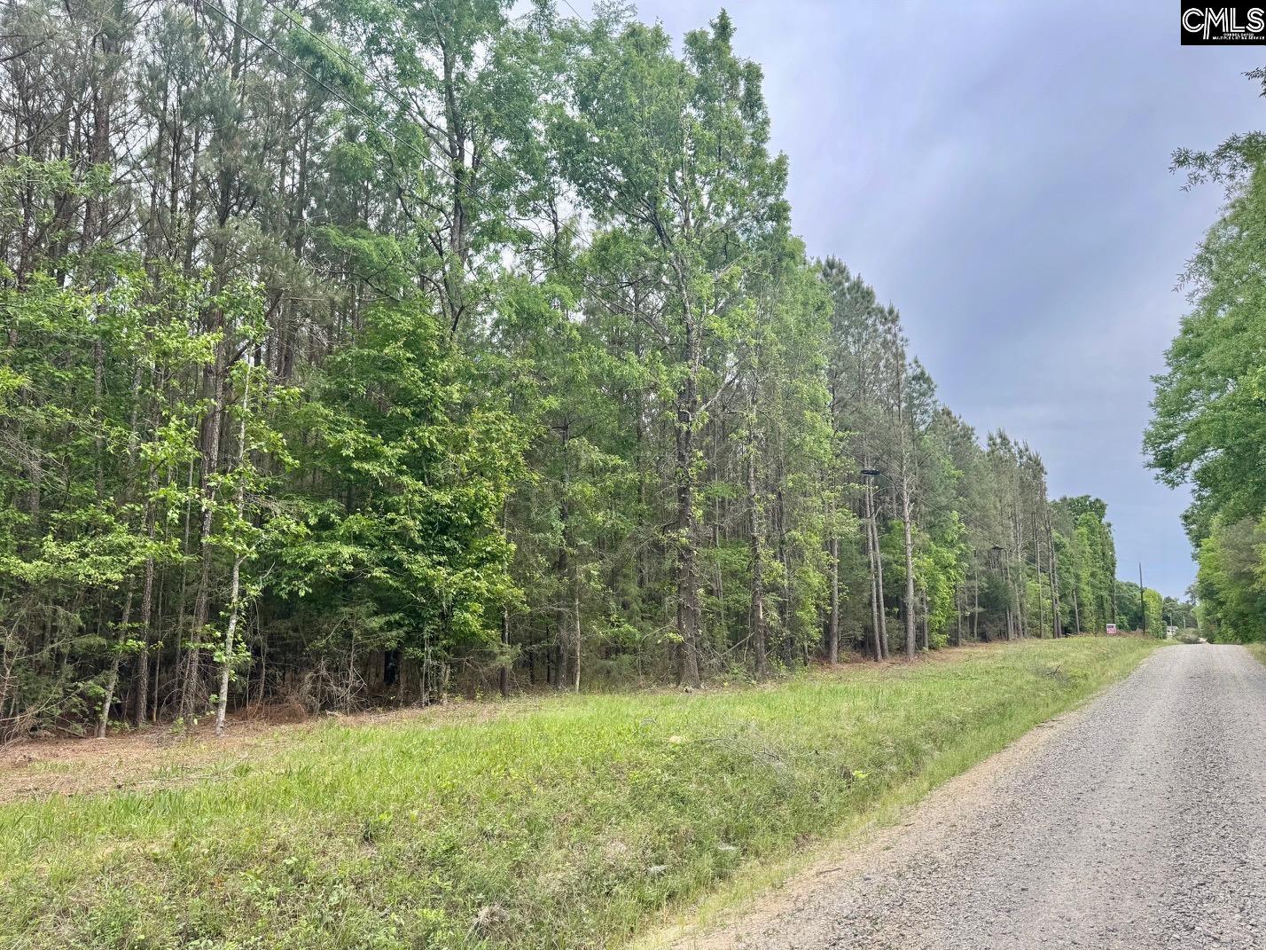 0 Sumpter Road Johnston, SC 29832 - Photo 1 of 8