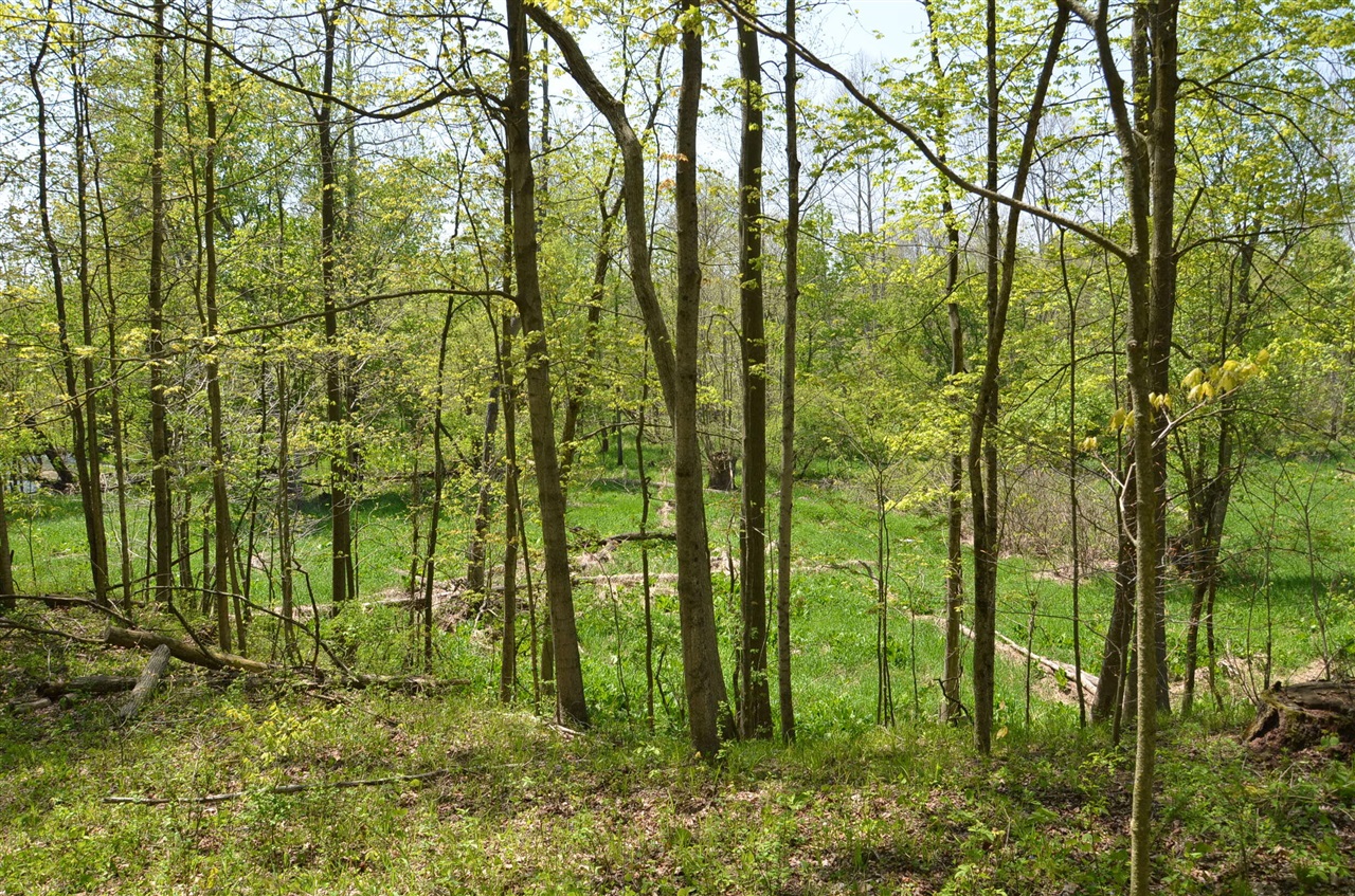 2255 River Road Hastings, MI 49058 - Photo 56 of 94