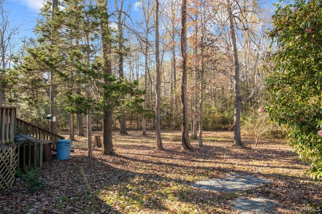 11124 Alanthus Road Midlothian, VA 23112 - Photo 25 of 28 a view of road with tree