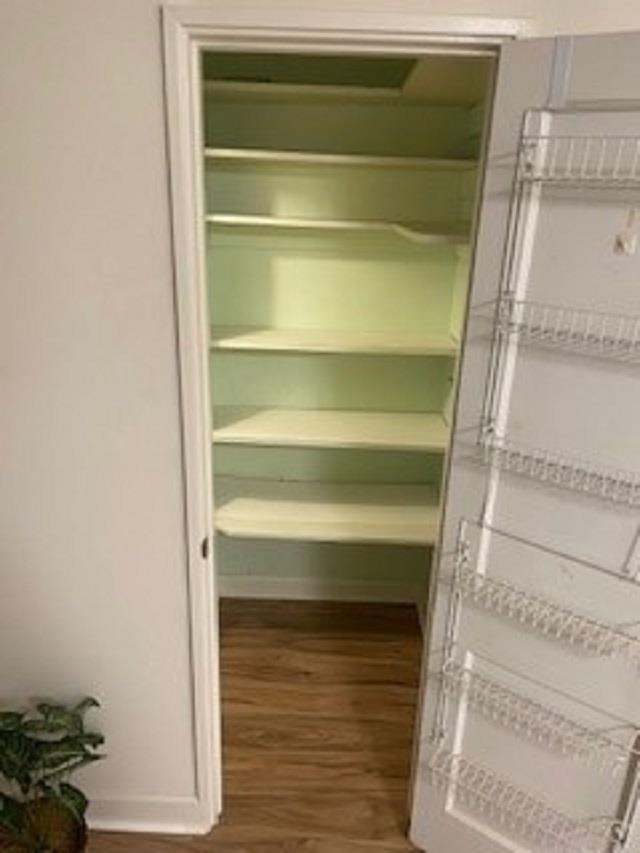 3007 Walnut Grove Road, Unit 1 Memphis, TN 38111 - Photo 7 of 14 a view of walk in closet with empty racks