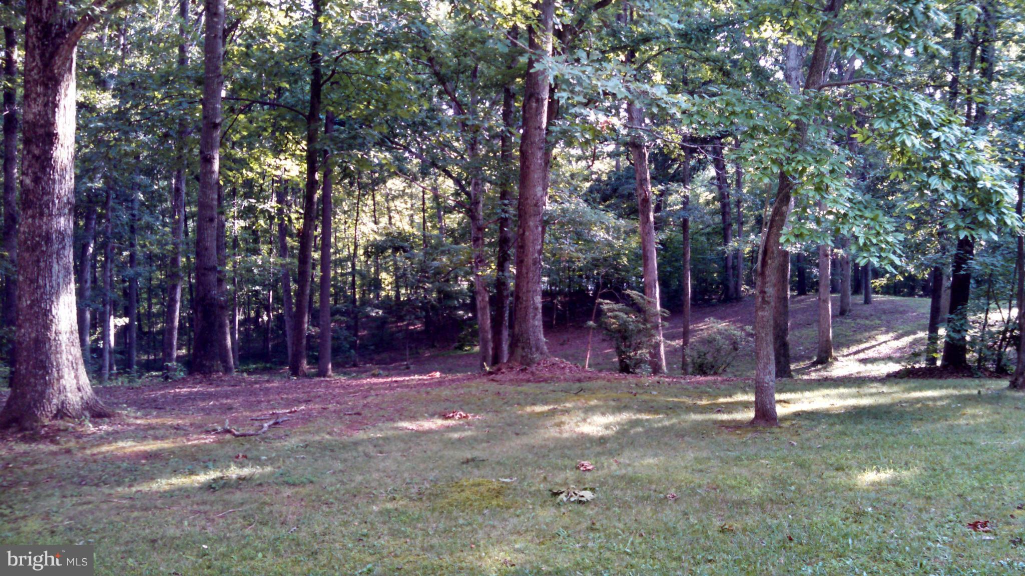7849 Rogues Road Catlett, VA 20119 - Photo 3 of 16 Park Like Setting 1