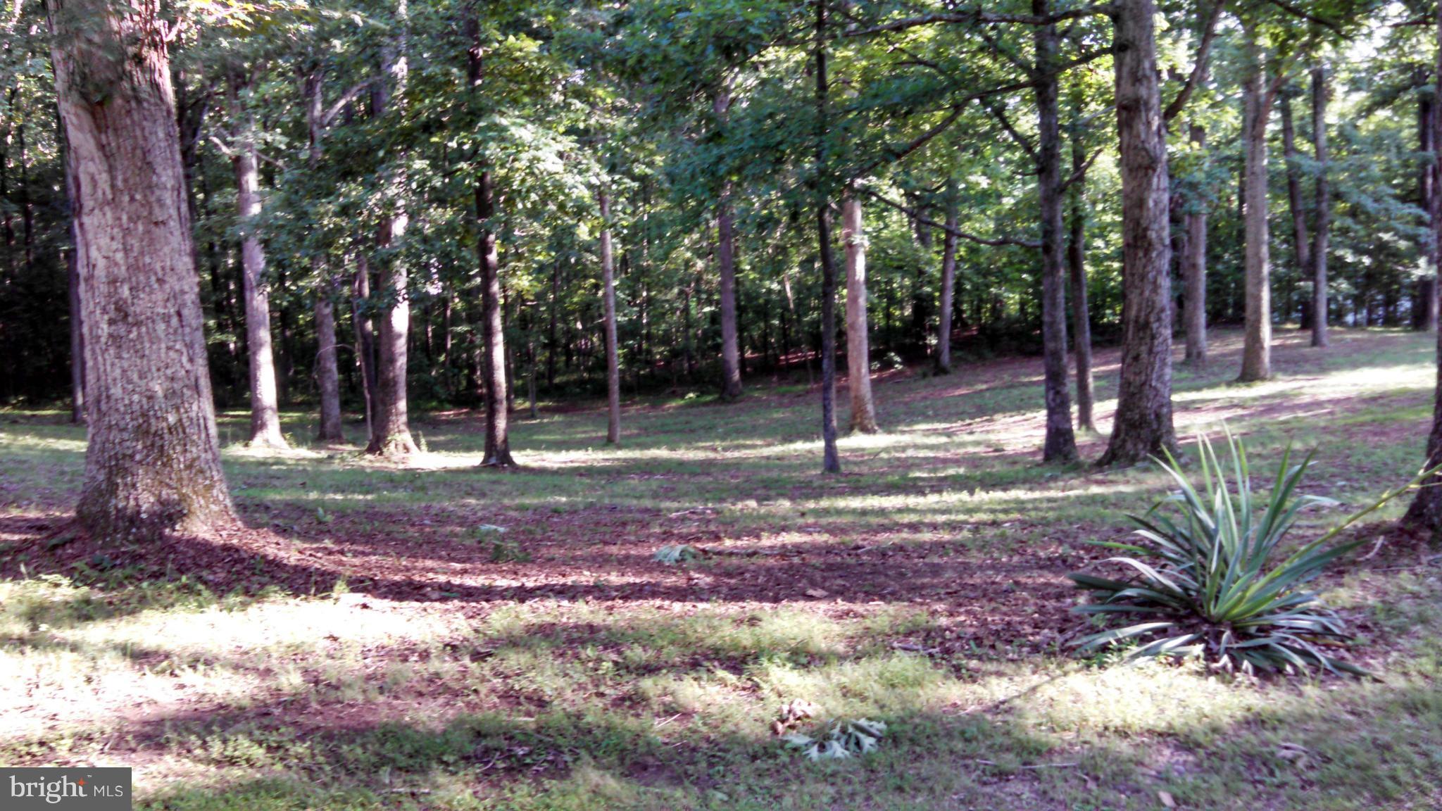 7849 Rogues Road Catlett, VA 20119 - Photo 4 of 16 Park Like Setting 2