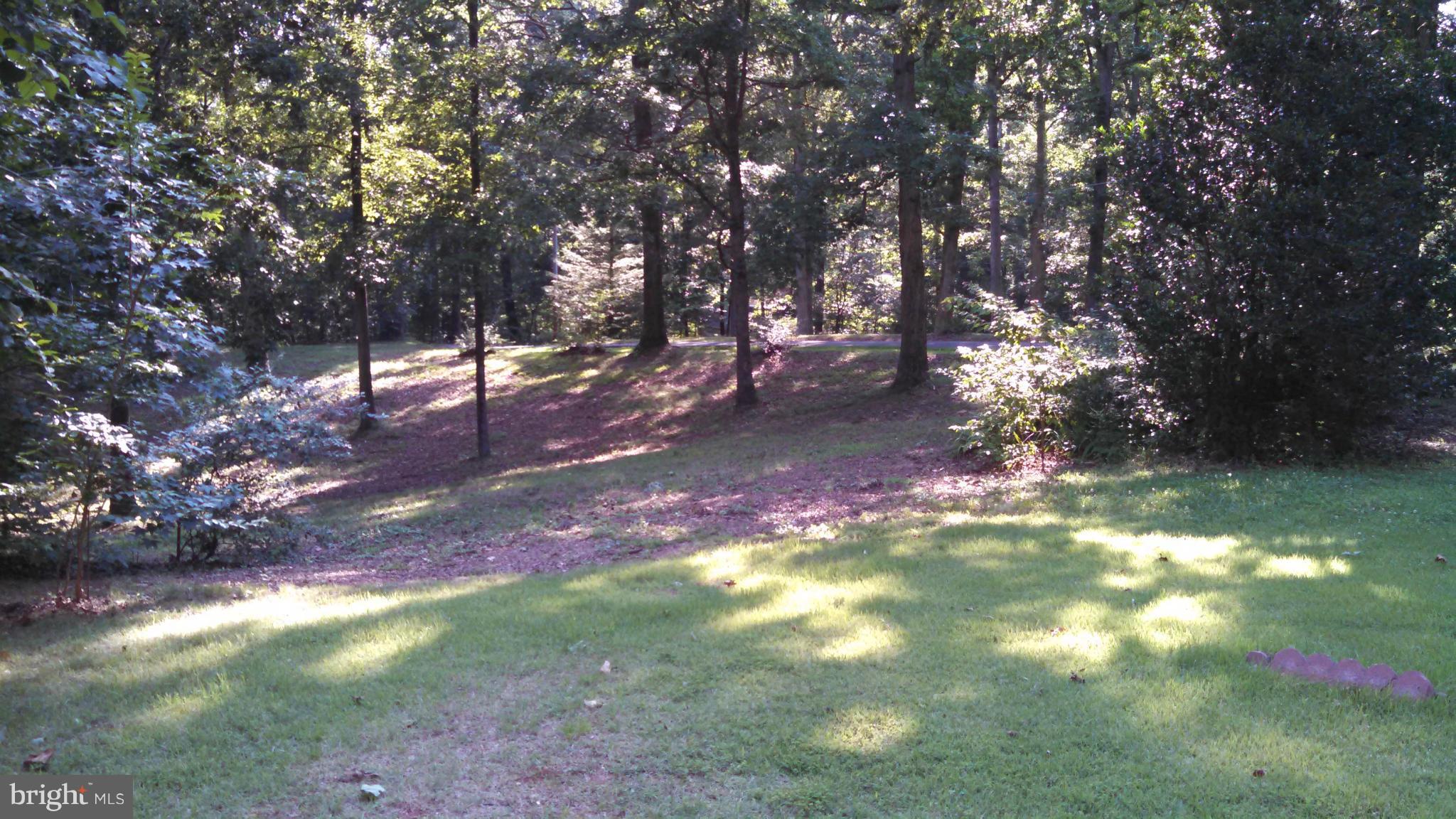 7849 Rogues Road Catlett, VA 20119 - Photo 5 of 16 Park Like Setting 3