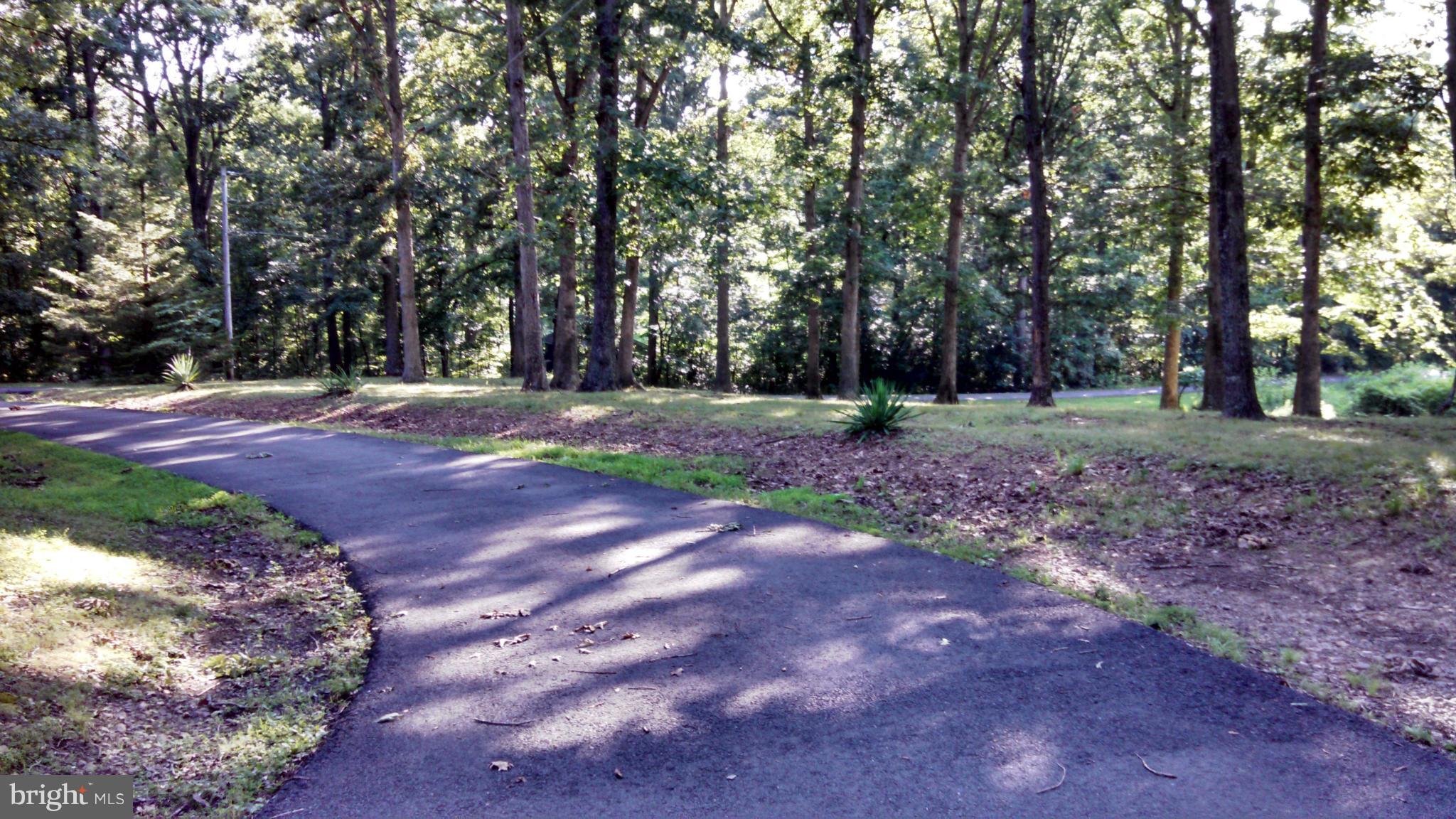 7849 Rogues Road Catlett, VA 20119 - Photo 6 of 16 Meandering Paved Driveway