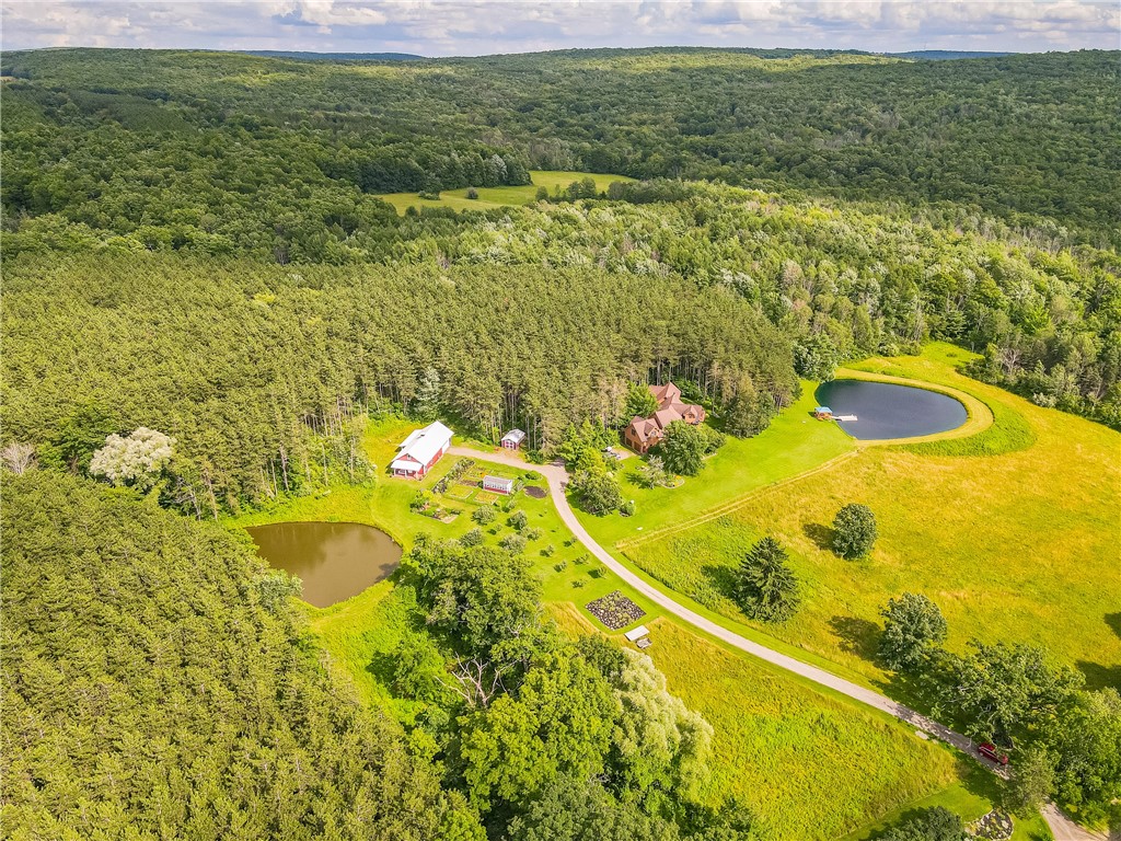 3996 Donley Road Italy, NY 14512 - Photo 11 of 50