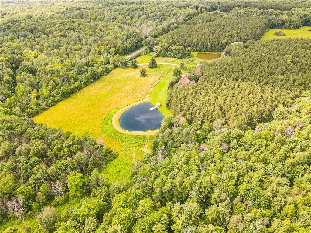 3996 Donley Road Italy, NY 14512 - Photo 12 of 50