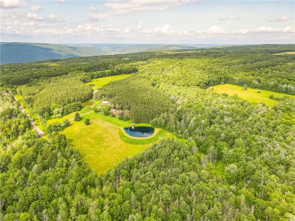 3996 Donley Road Italy, NY 14512 - Photo 13 of 50