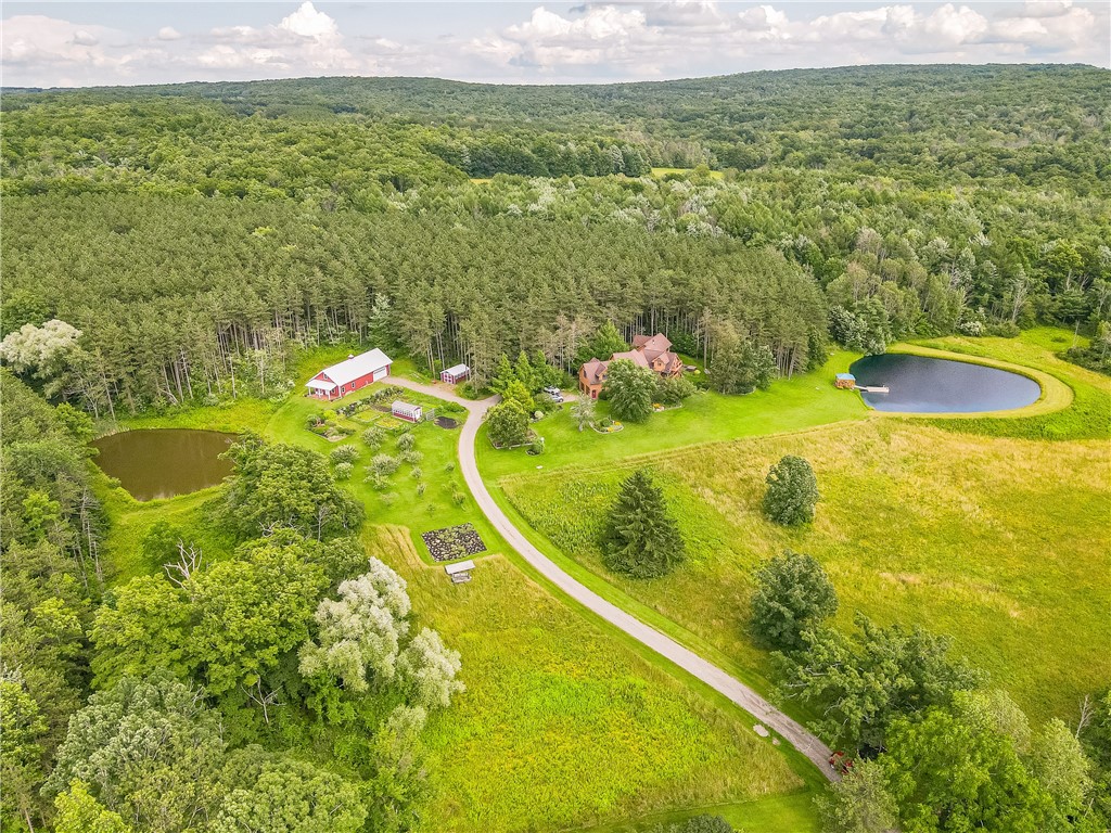 3996 Donley Road Italy, NY 14512 - Photo 5 of 50