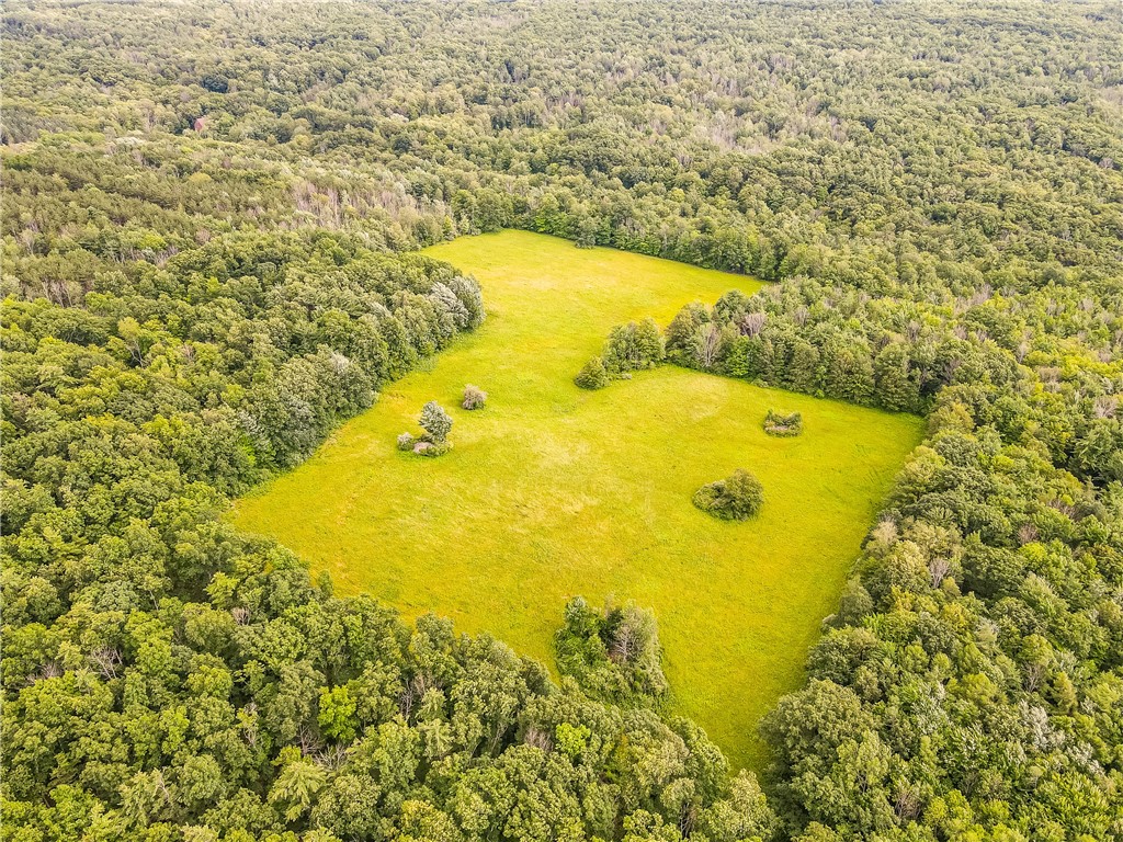 3996 Donley Road Italy, NY 14512 - Photo 9 of 50