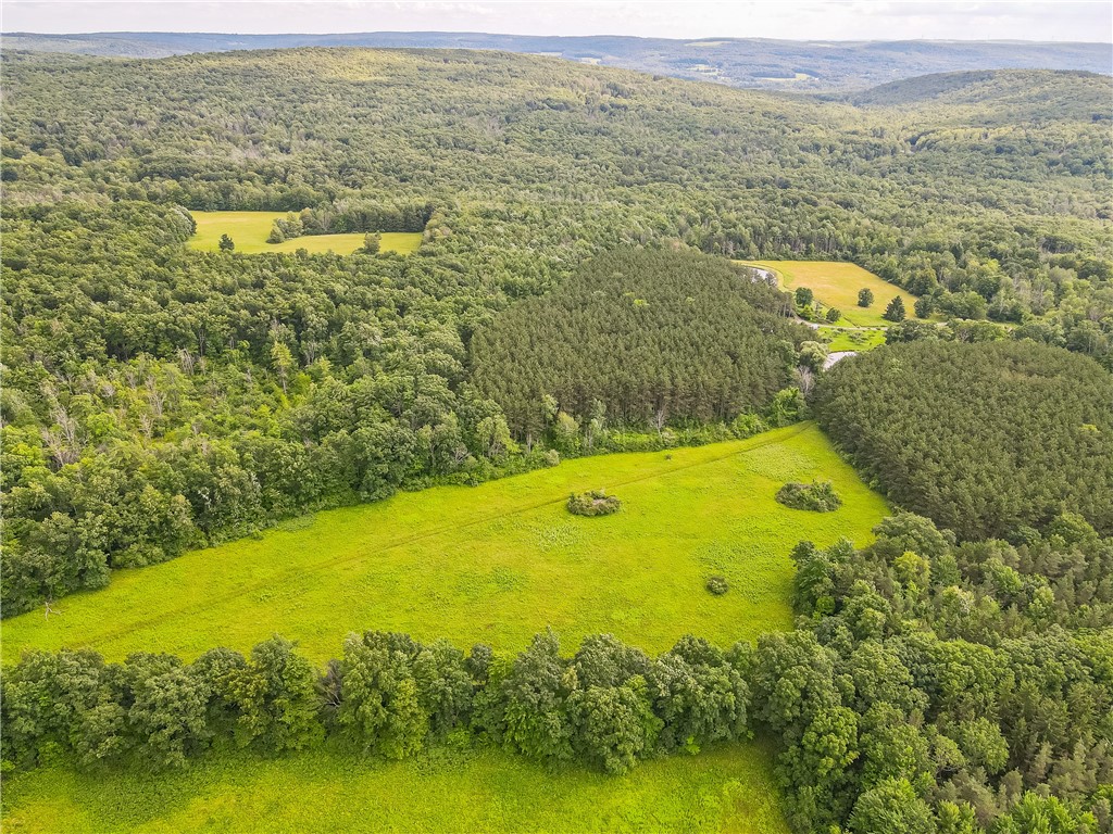 3996 Donley Road Italy, NY 14512 - Photo 10 of 50