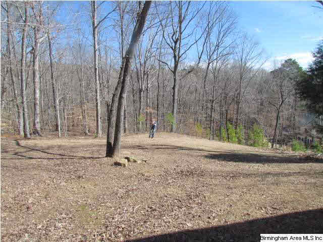 6920 Deer Haven Road Pinson, AL 35126 - Photo 30 of 30