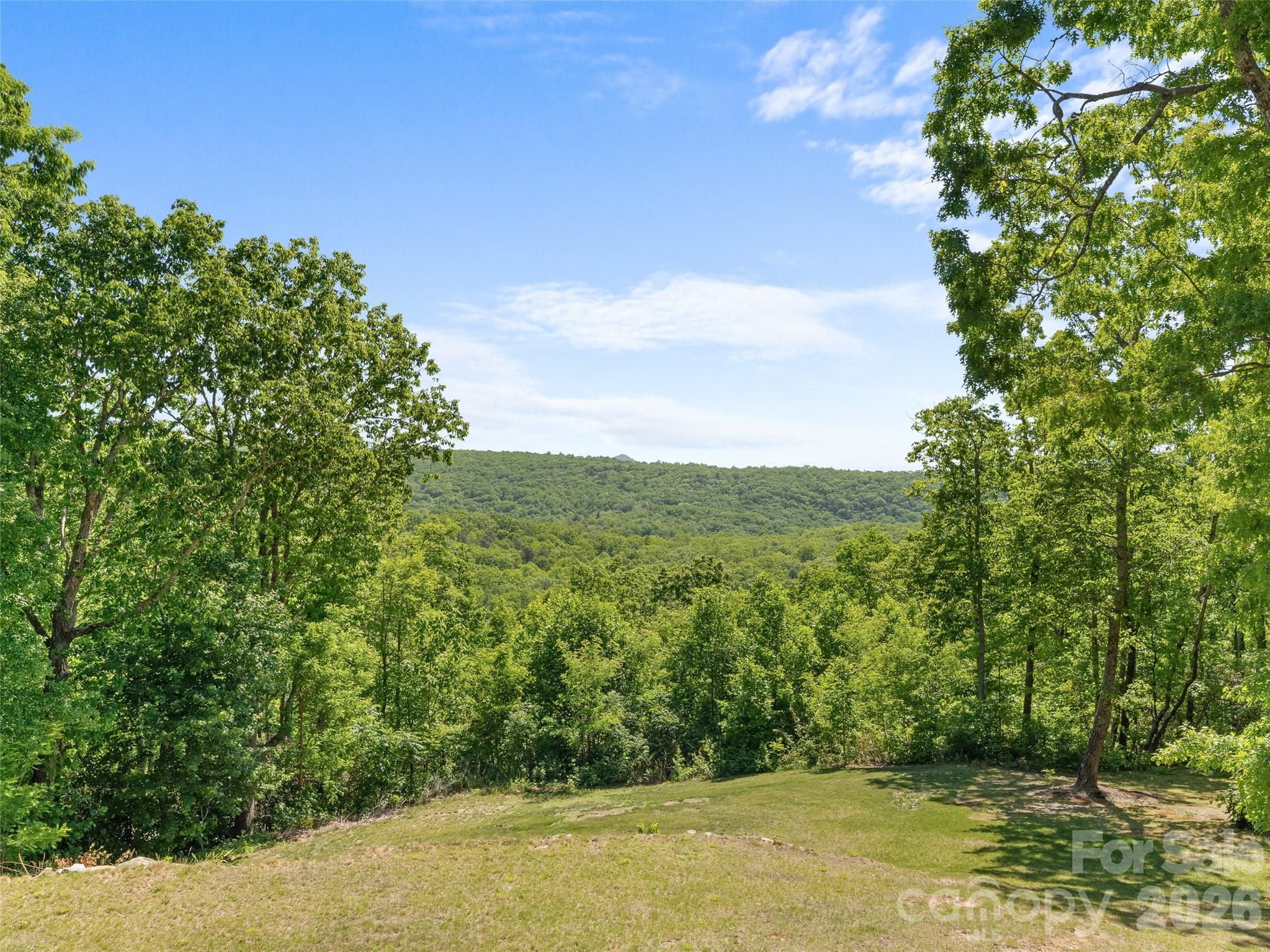 852 Marshall Ridge Road Hendersonville, NC 28792 - Photo 18 of 47