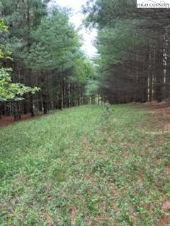 Fox Ridge Road Glade Valley, NC 28627 - Photo 3 of 16 Gallery Image 3