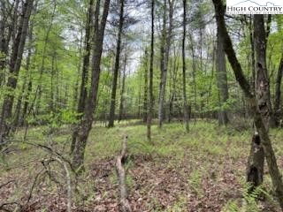 Fox Ridge Road Glade Valley, NC 28627 - Photo 8 of 16 Gallery Image 8