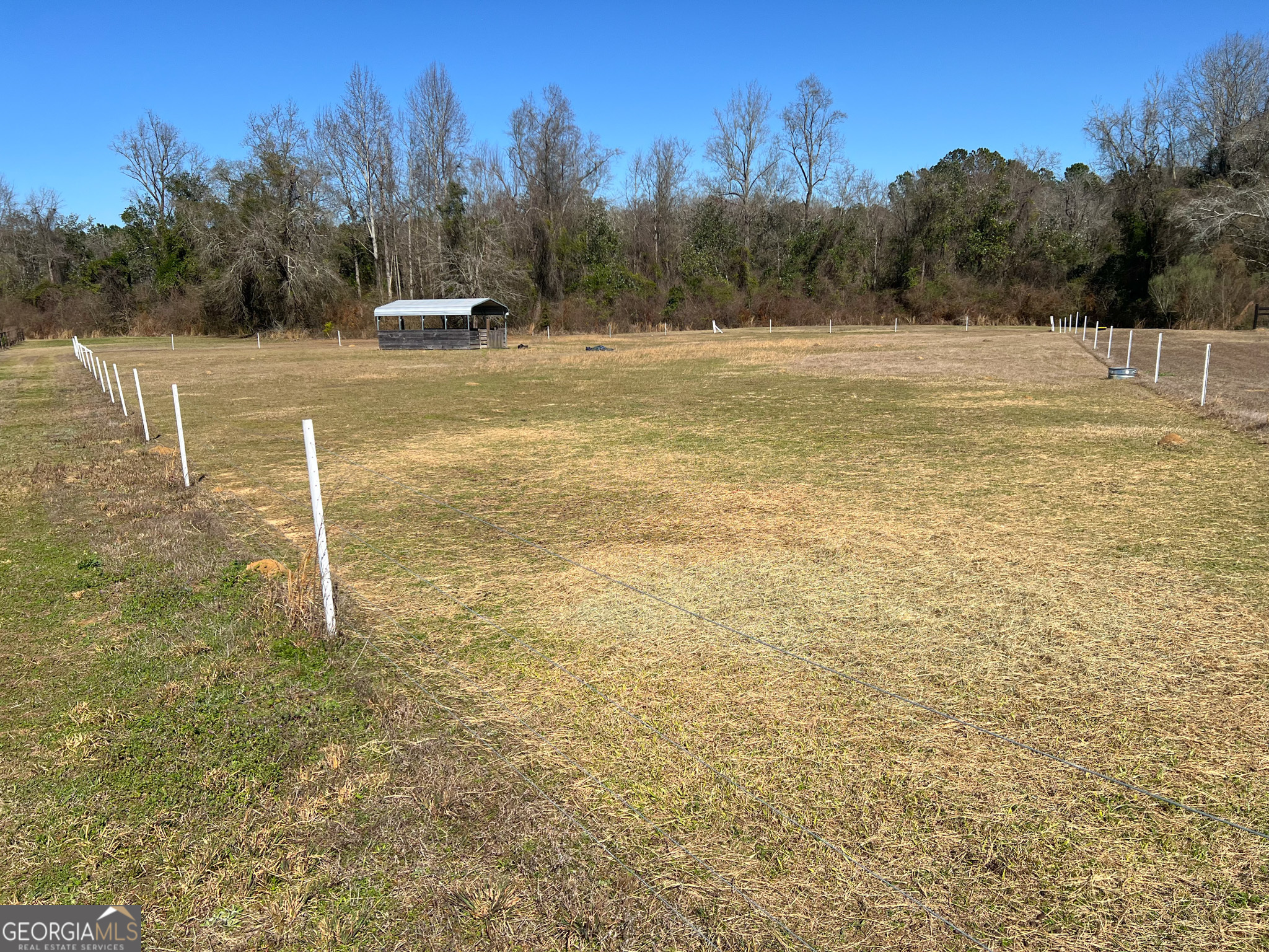 1685 Union Hill Road Pelham, GA 31779 - Photo 12 of 15