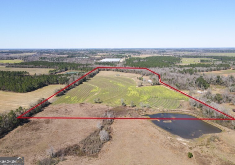 1685 Union Hill Road Pelham, GA 31779 - Photo 13 of 15