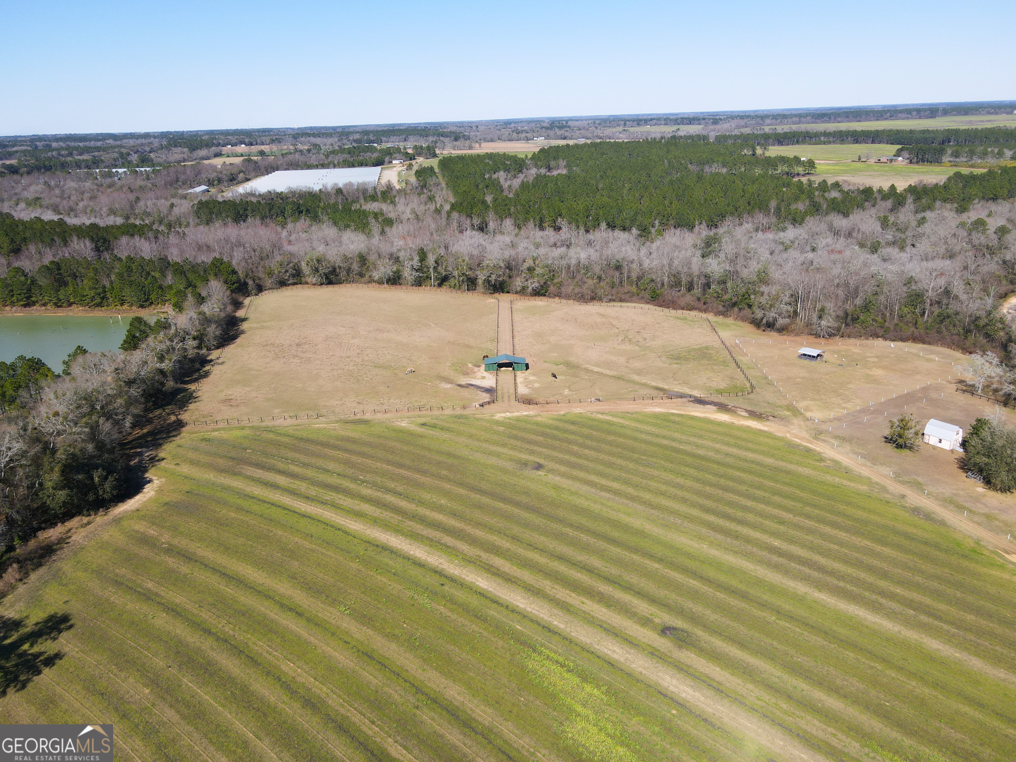 1685 Union Hill Road Pelham, GA 31779 - Photo 15 of 15