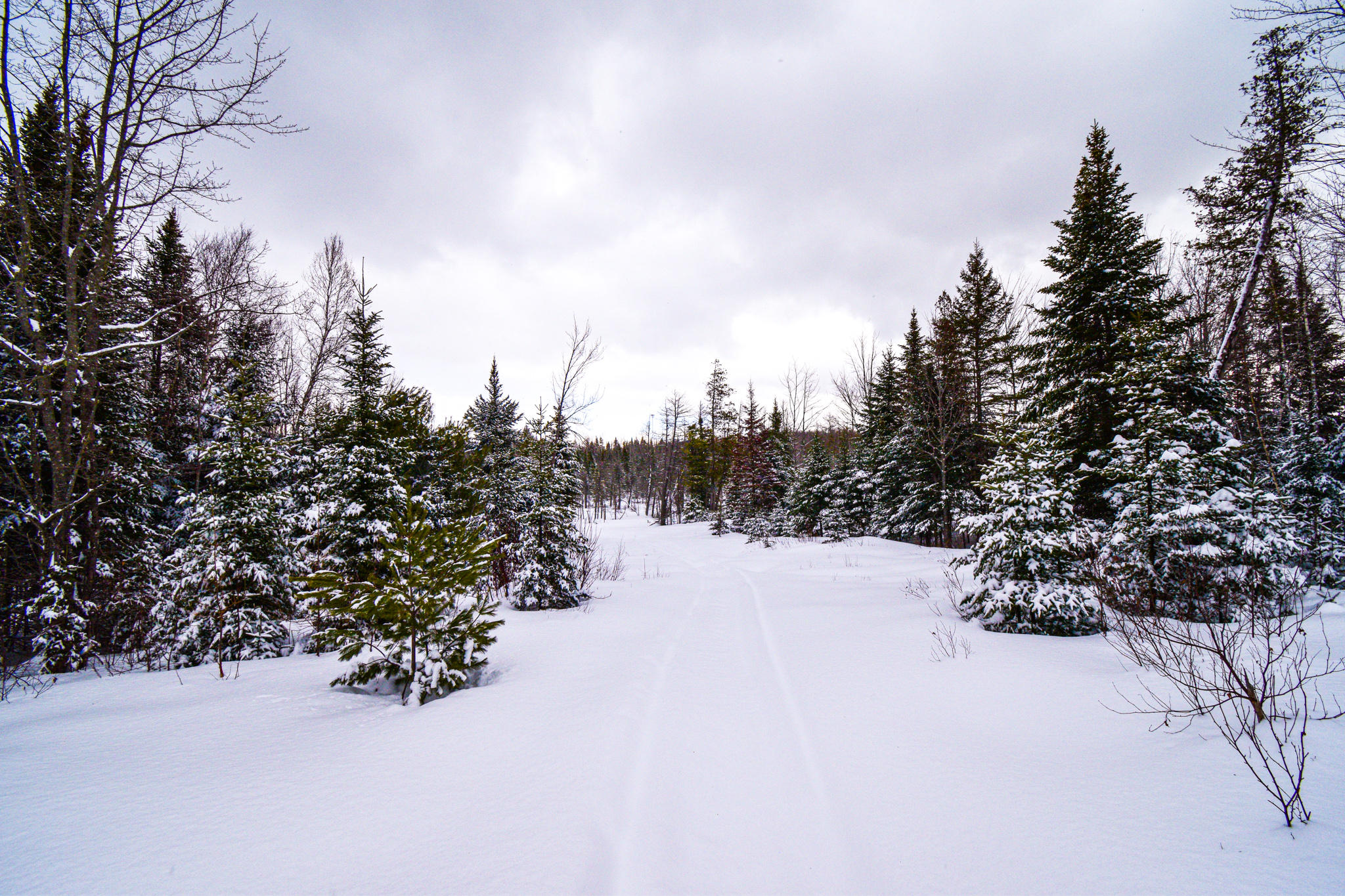 0 Crow Hill Road Parkman, ME 04443 - Photo 11 of 21 DSC_1864