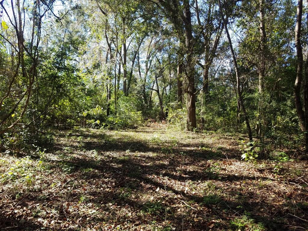 1418-1 Bold Springs Road, Unit 5&6 Ochlocknee, GA 31773 - Photo 1 of 1 Main View