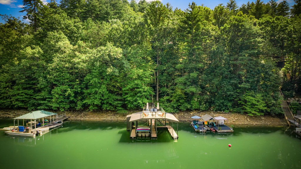 571 Misty Mountain Trail Morganton, GA 30560 - Photo 14 of 90