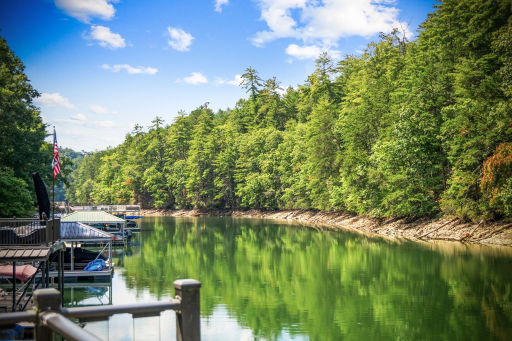 571 Misty Mountain Trail Morganton, GA 30560 - Photo 21 of 90