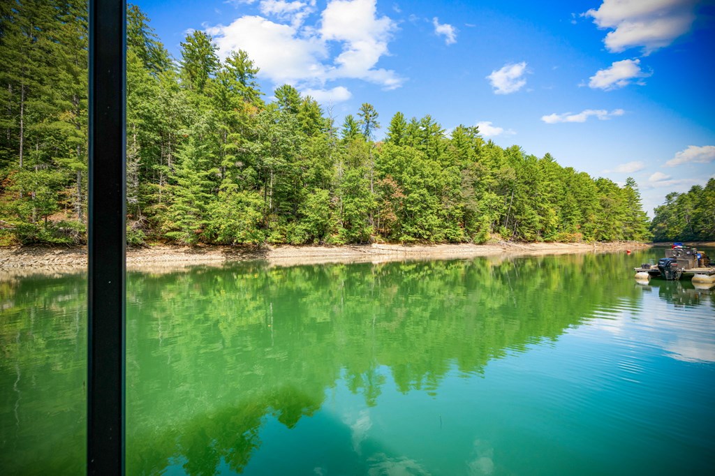 571 Misty Mountain Trail Morganton, GA 30560 - Photo 24 of 90