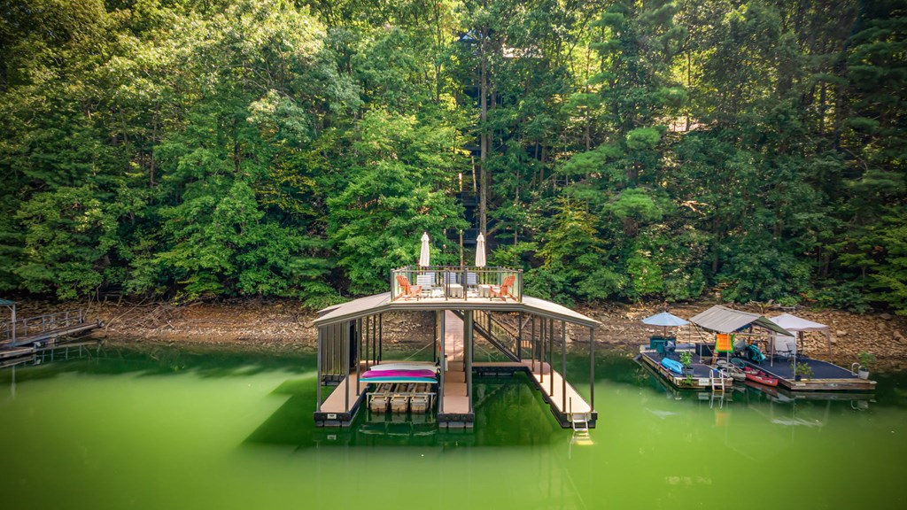 571 Misty Mountain Trail Morganton, GA 30560 - Photo 30 of 90