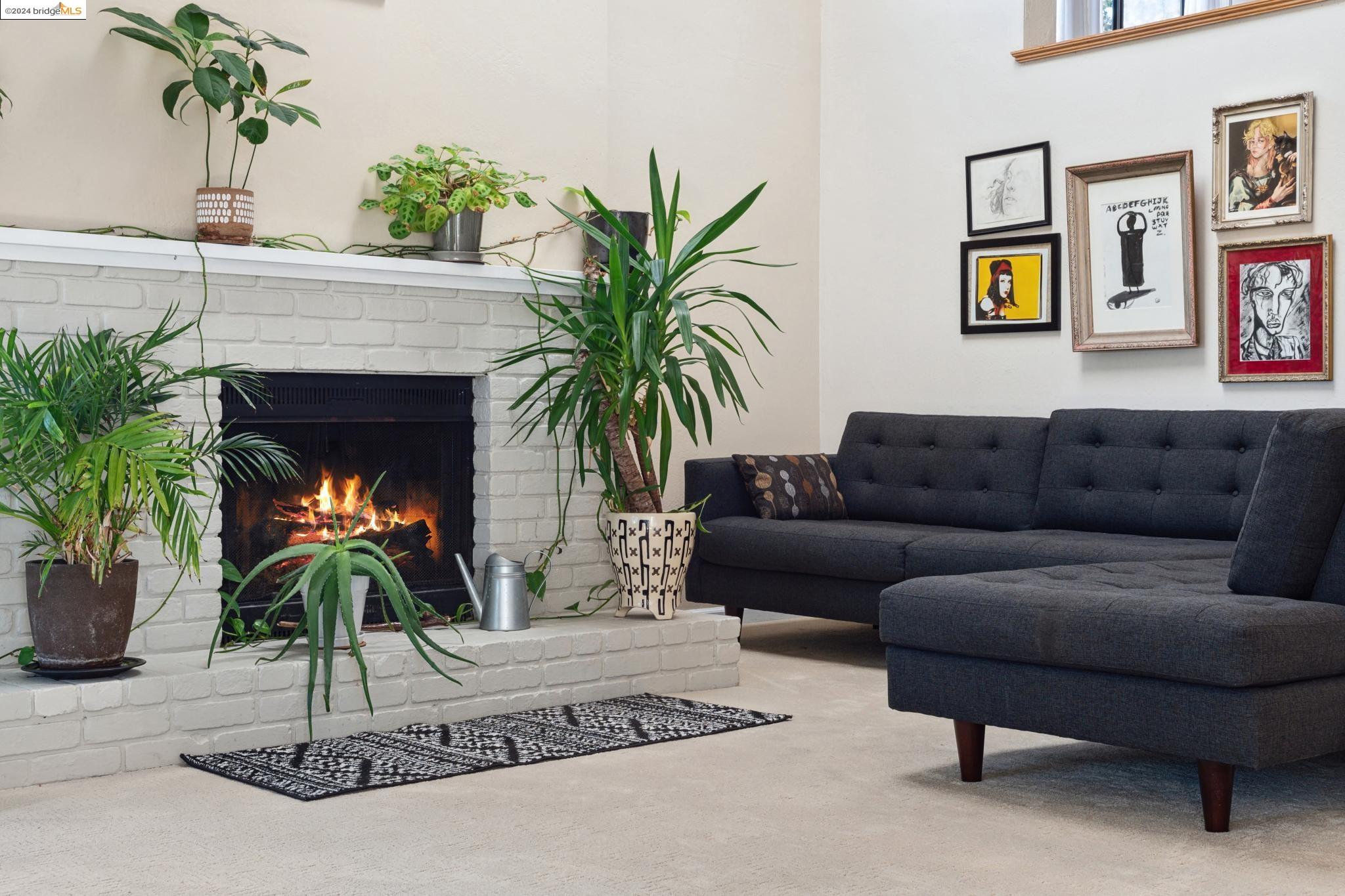 a living room with furniture a potted plant and a fireplace