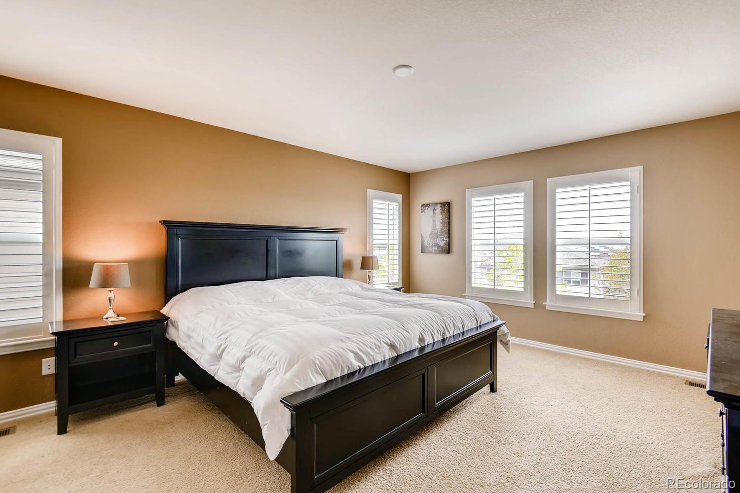 3445 Chandon Way Highlands Ranch, CO 80126 - Photo 14 of 34 Gallery Image 14