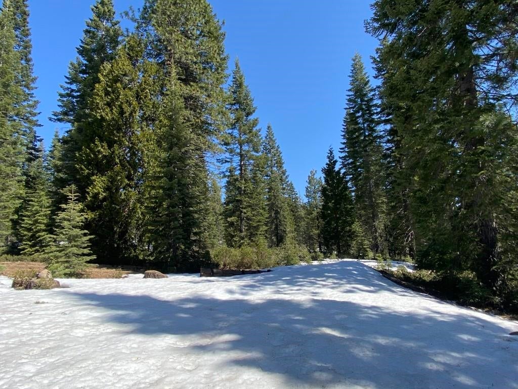7 Ridge Drive McCloud, CA 96057 - Photo 11 of 26 Gallery Image 11