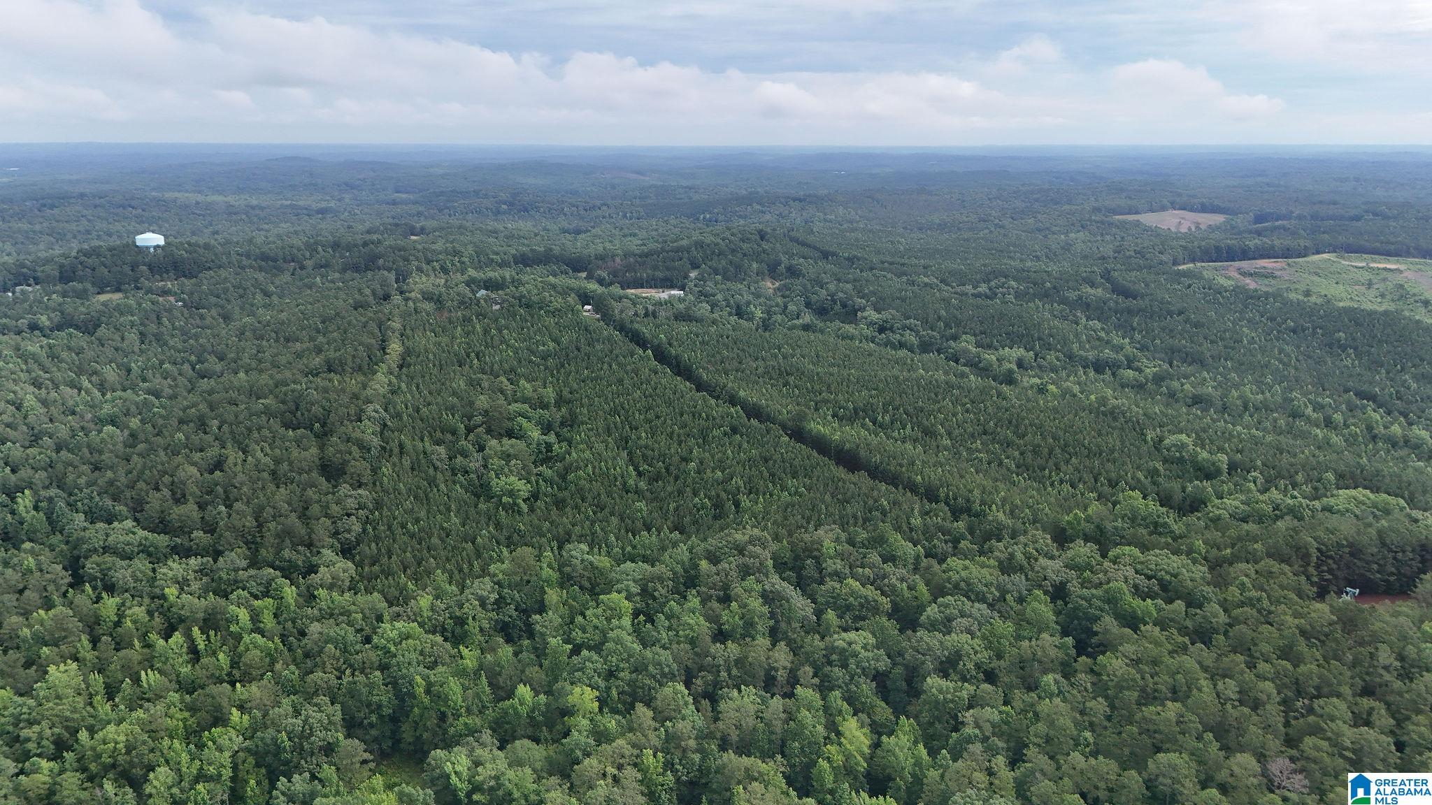 0 Skyview Lake Road Cottondale, AL 35453 - Photo 22 of 22