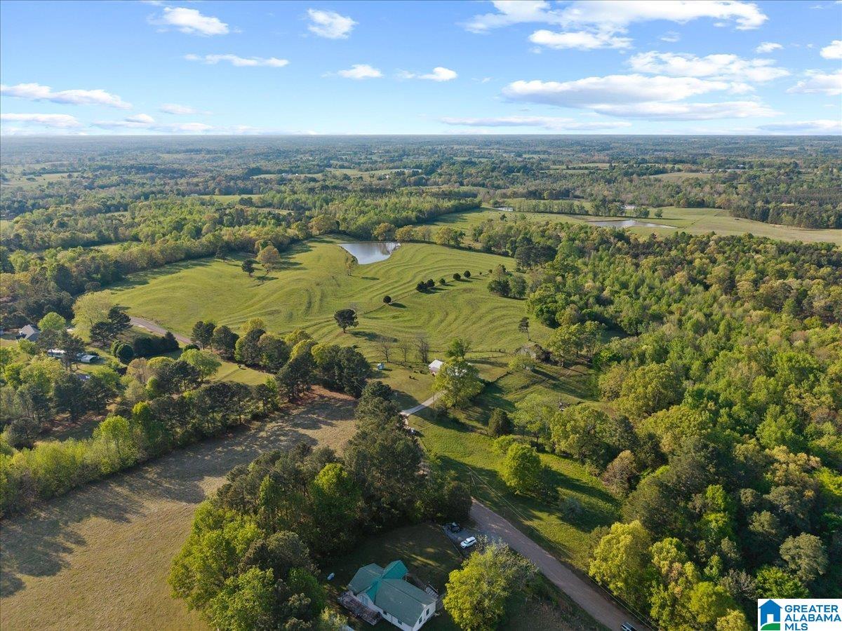 1347 Hamm Road Blountsville, AL 35031 - Photo 4 of 39