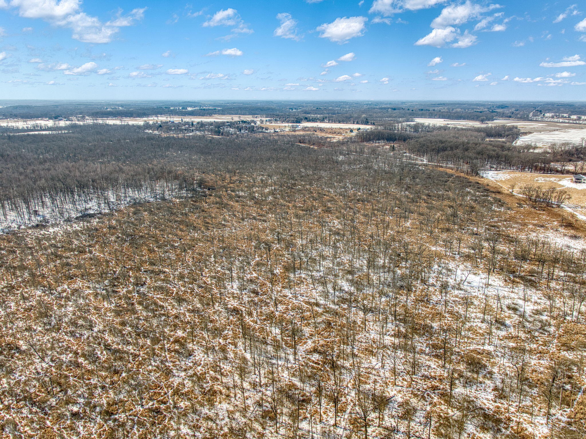 0 Dewey Road Munith, MI 49259 - Photo 25 of 28 5-web-or-mls-DJI_0264_HDR